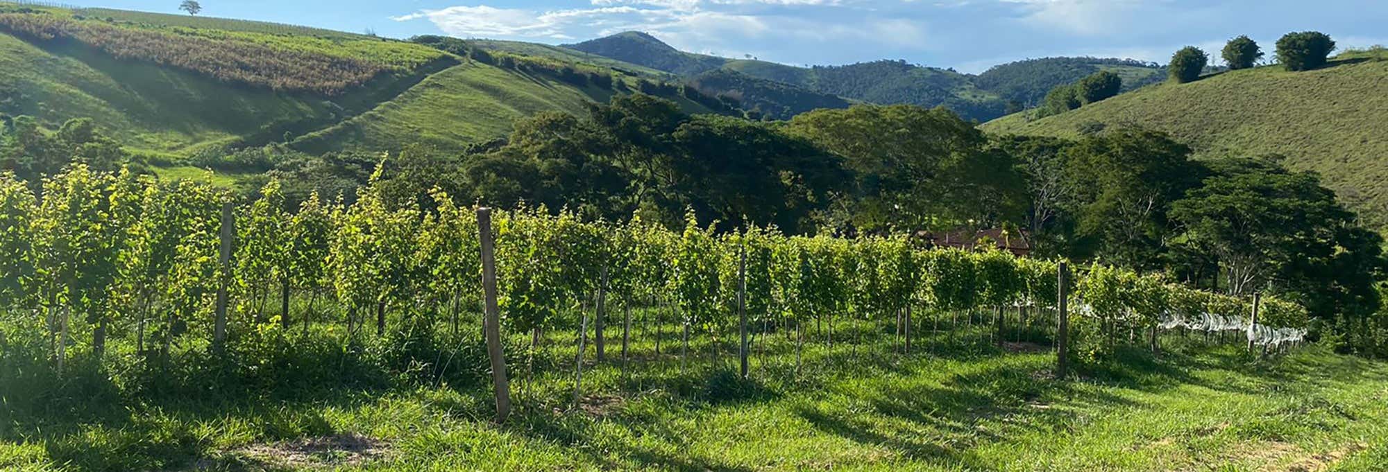 Gastronomia e enoturismo em Rio de Janeiro