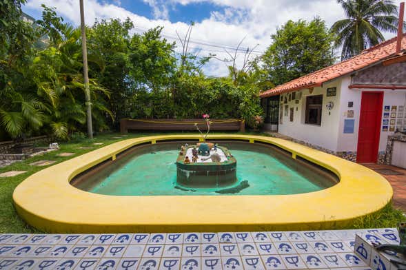 Bahia Culture Tour: Jorge Amado's House + Carybé & Pierre Verger Spaces