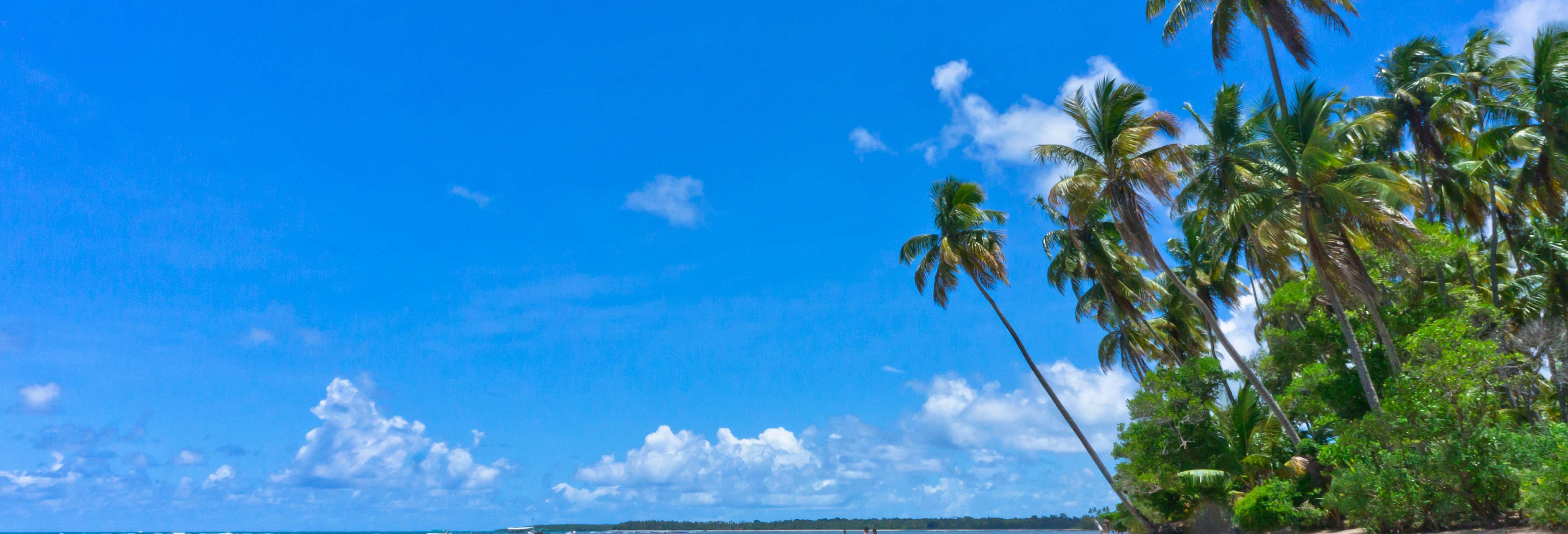 Day trip in Salvador