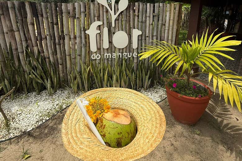 Un delicioso coco fresco