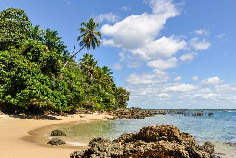 Playas paradisíacas de Morro de São Paulo