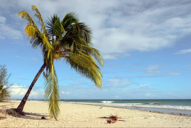 Paseando por las playas doradas y tranquilas de Itaparica