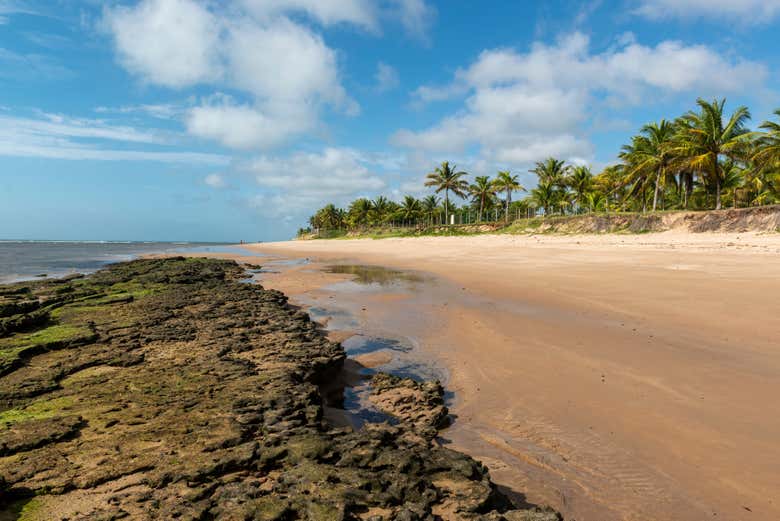 A incrível praia de Itacimirim