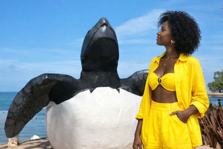 Profitez de votre visite à Praia do Forte