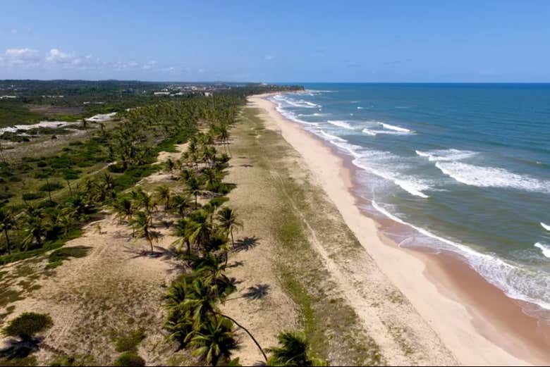 Vista aérea da praia de Imbassaí