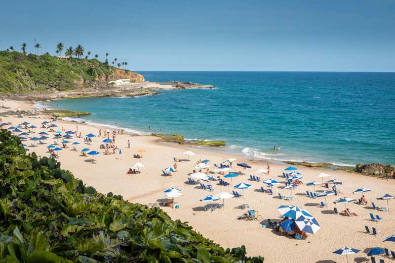Views of Salvador da Bahía