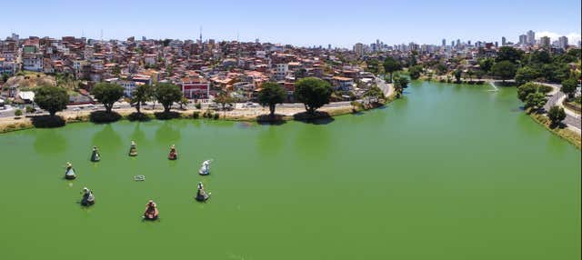 Tour della cultura Axé a Salvador de Bahia