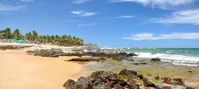 Excursão à Praia do Forte e Guarajuba