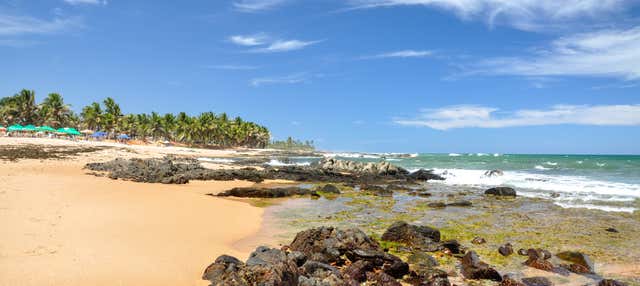 Excursão à praia do Forte e Guarajuba