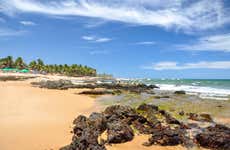 Excursión a Praia do Forte y Guarajuba