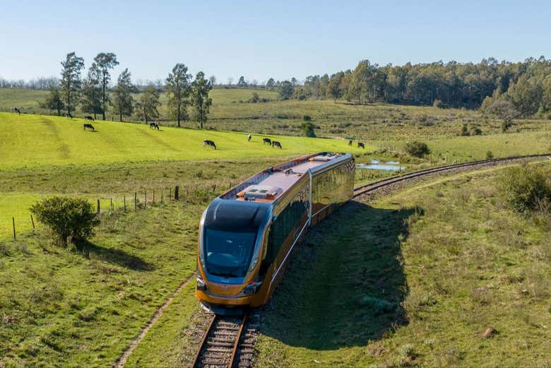 Un paseo en el Tren de Pampa cautivante