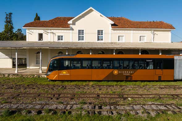 Passeio no Trem do Pampa + Visita à vinícola Almadén