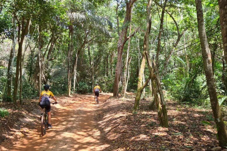 Dive head first into the natural splendor of the Amazon