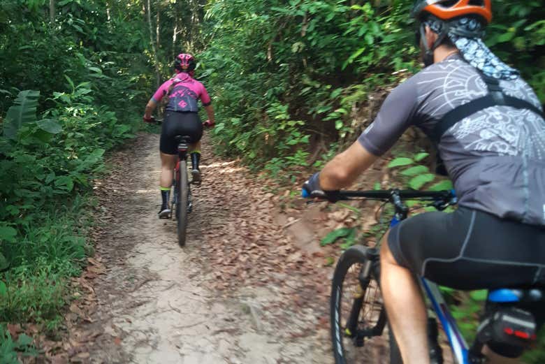 Passando por caminhos repletos de vegetação