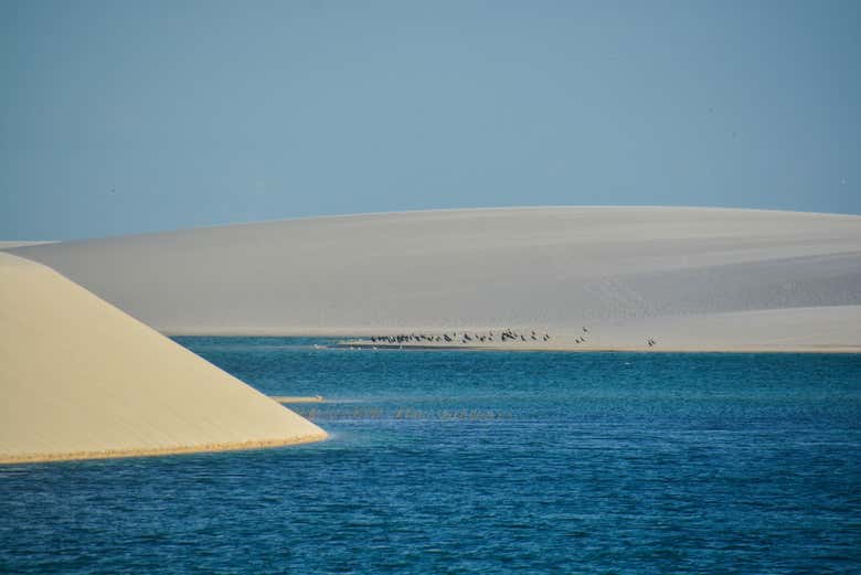 Lençóis Maranhenses