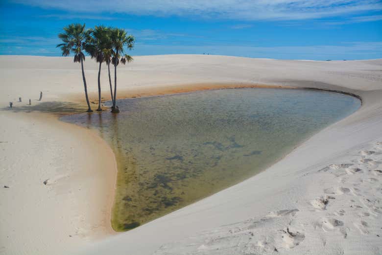 Veremos paisajes insólitos durante el tour