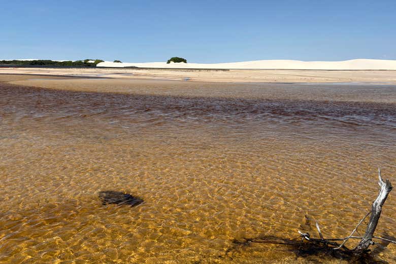 Você vai tirar fotos incríveis!