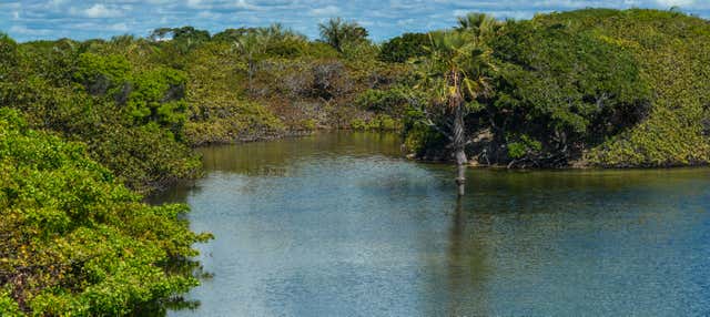 Tour por las lagunas Santo Amaro y das Américas