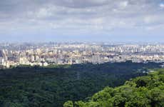 Excursión privada a São Paulo
