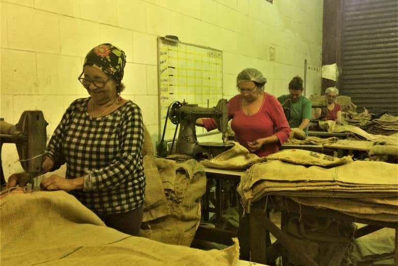 Costureiras das sacas de café