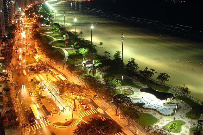 Shorefront garden at night