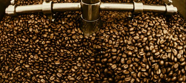 Santos Coffee Private Tour - Book Online at Civitatis.com