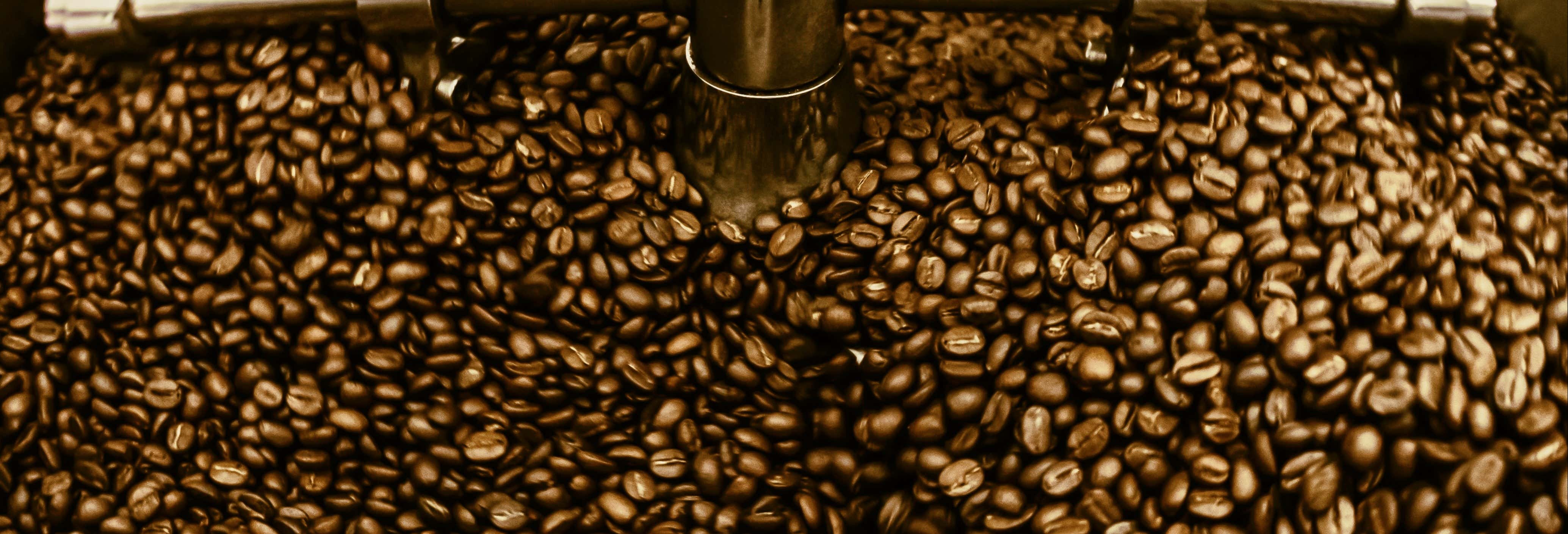 Guided tours and free tours in Santos