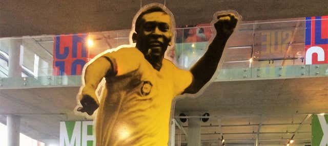 Tour privado de Pelé
