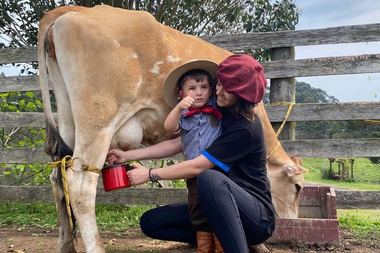 Ordeñando una vaca