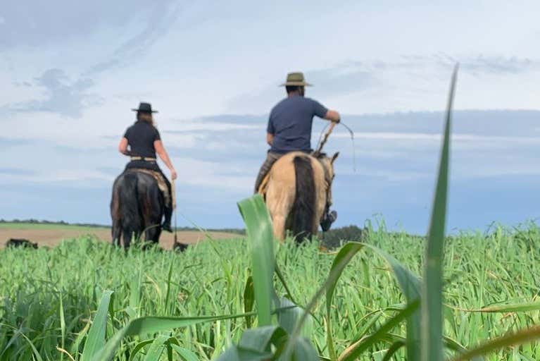 Horseback riding in São Francisco de Paula