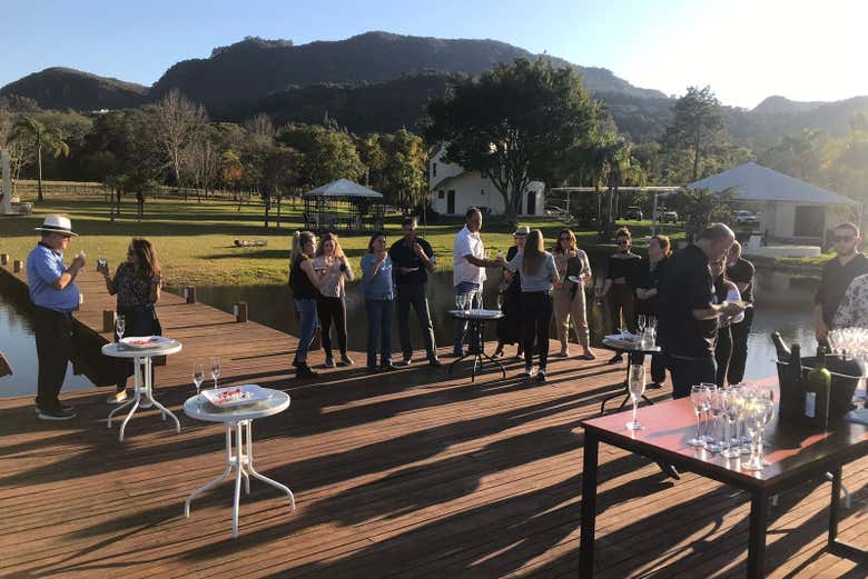 Degustação de vinhos na Vinícola Domus Mea