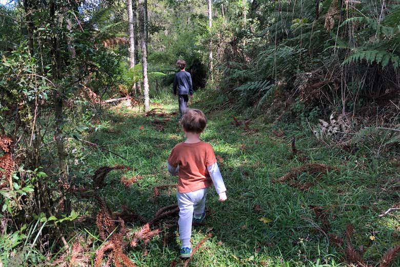 Un programma perfetto per tutta la famiglia