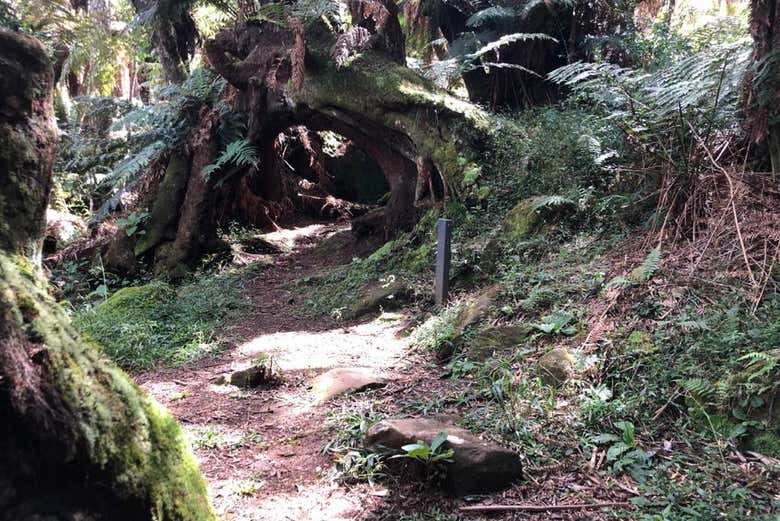 Un'oasi di pura tranquillità