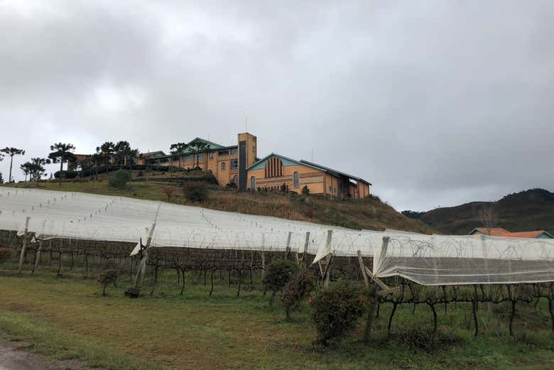 Vigneti di São Joaquim