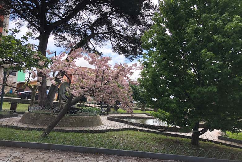 Praça João Ribeiro