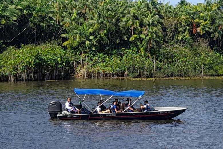 Navegando pelo rio Preguiças