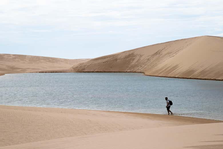 Explore beautiful landscapes