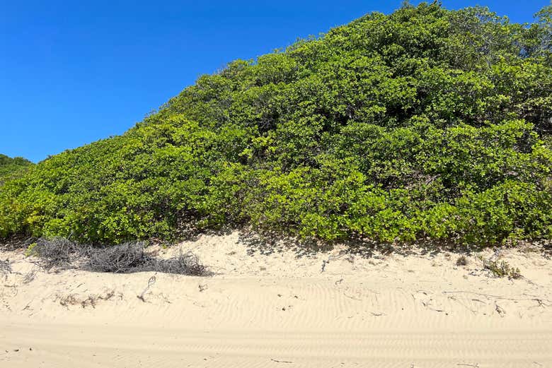 Dunas dos Lençóis Maranhenses