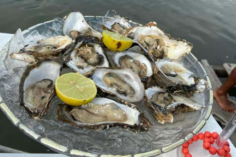 Vous aurez la possibilité de déguster les huîtres de la région
