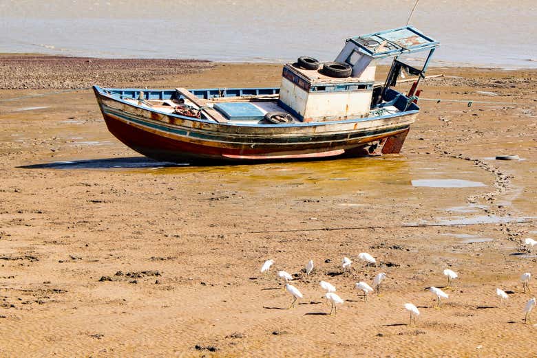 Un bateau sur la plage à marée basse