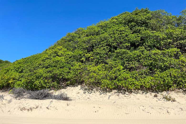 Pass through the vibrant scenery of the state of Maranhão