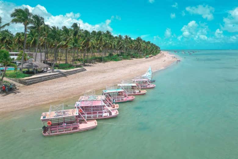 Jangadas junto à costa de  São Miguel dos Milagres