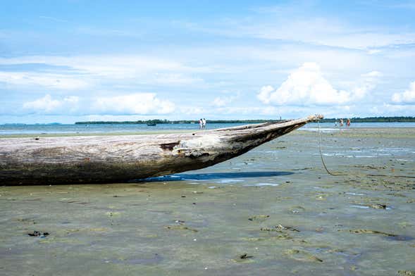 Excursão à ilha de Santo Amaro