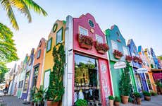 Sao Paolo Private Day Trip