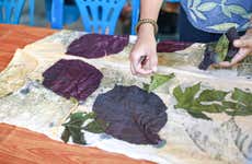 Salto de Pirapora Day Trip + Botanical Printing Workshop