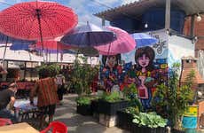 Feijoada nella favela di Paraisópolis