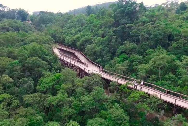 Você poderá caminhar em meio à natureza