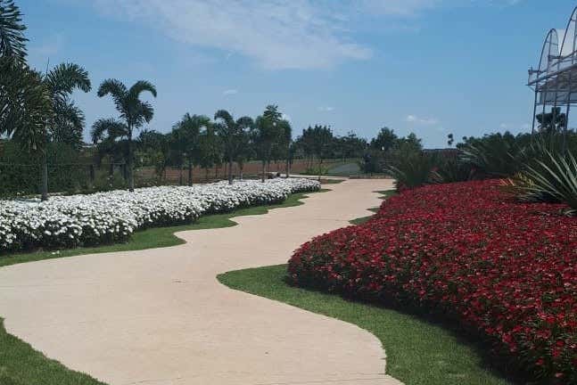 Caminho de flores