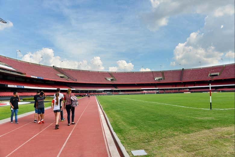 Campo do Estádio do Morumbi