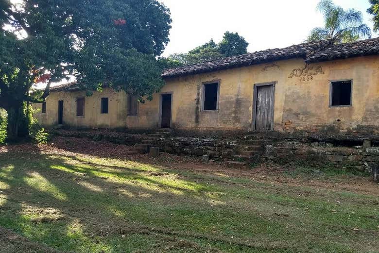 Percorreremos a fazenda Tozan